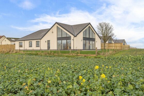 unique home built in the middle of a field