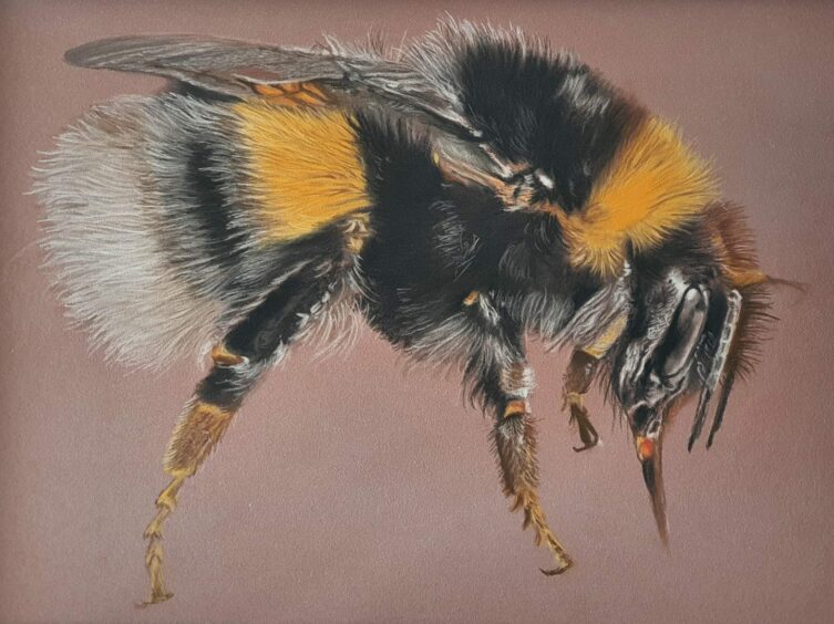 Val Rough (49). Bee Kind in Pastels.