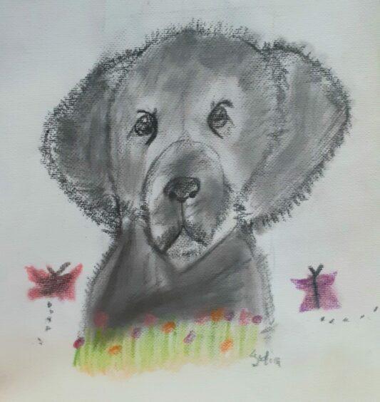 Lydia Dailly (10). A Dog To Remember.