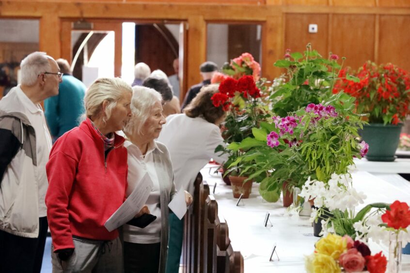 Montrose flower show visitors