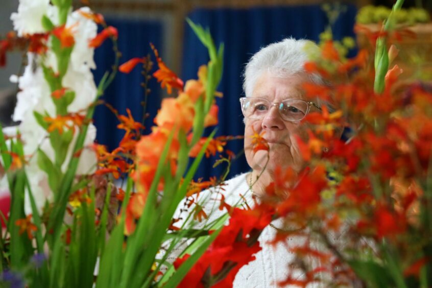 Montrose flower show gladioli judging