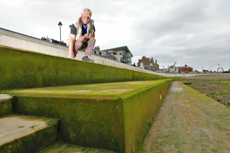 Path Slipping 'Slime' path slip hazard causes concern at Broughty Ferry walkway