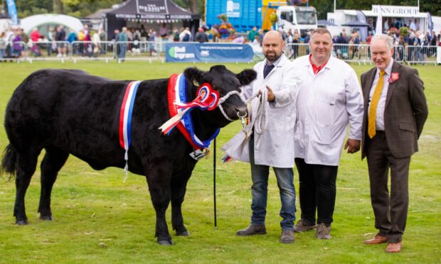 FAULTLESS:  Black Magic with her owner, Blair Duffton (centre), handler  Steve Smith and beef interbreed judge, Archie MacGregor. Pictures:  Kenny Smith