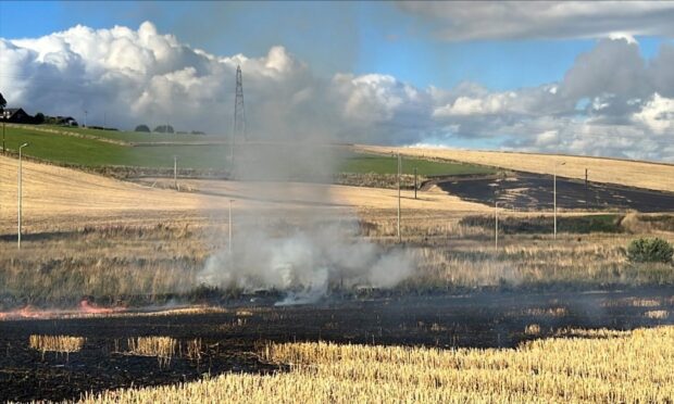 Smoke billows from field as crew tackles Dundee blaze