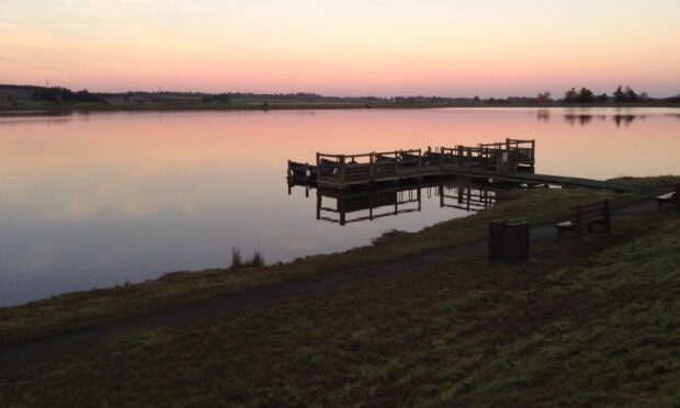 Monikie Country Park is popular with wild swimmers and dog walkers.