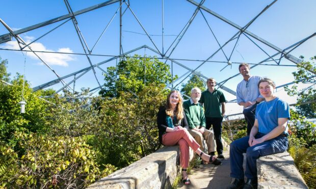 Rebecca Duncan, Ian Douglas, David Baxter, Dr Harry Watkins, and Becky Middleton in one of the disassembled glasshouses at St Andrews Botanical Gardens.