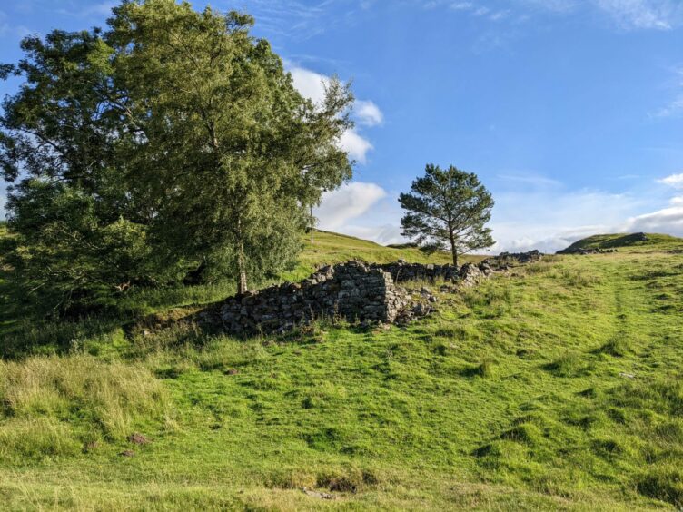 This scenic spot on the banks of Loch Tay near Killin is where the 'Killer Rabbit of Caerbannog' scenes were filmed in Monty Python and the Holy Grail. Image: DCT.