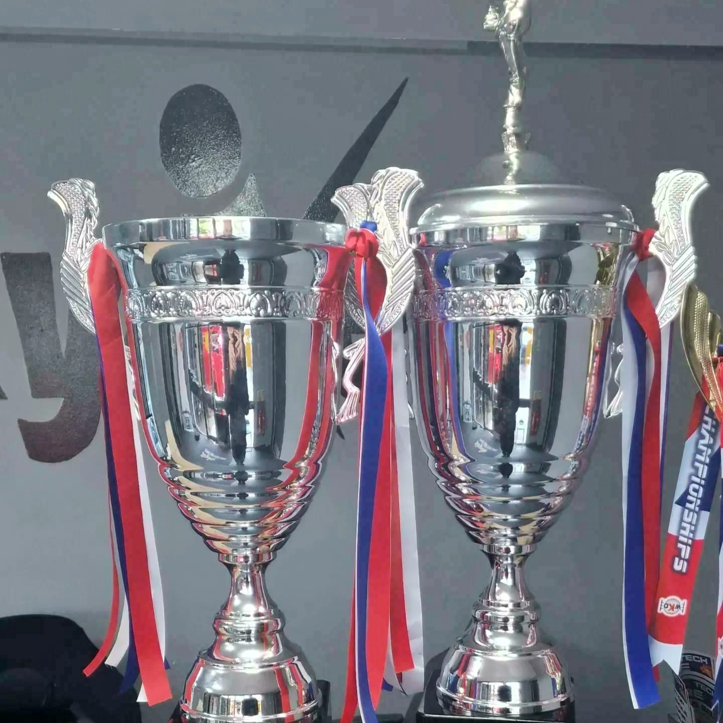The two trophies the Skyaxe team brought home after their success at the World Kickboxong Organisation Championships.