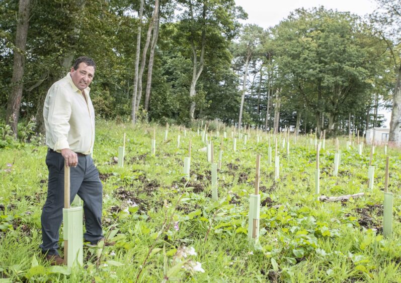 Crown Parks owner Cresswell Welsh beside new trees planted at Seaton Estate.
