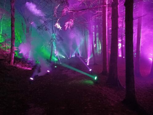 This year's Enchanted Forest has come to an end but organisers are already looking ahead to the next one.  Image: Enchanted Forest.