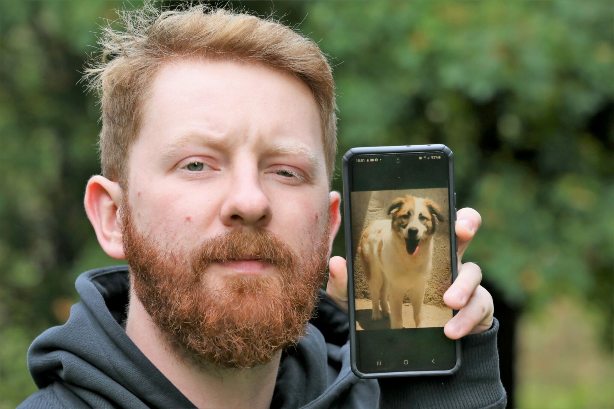 missing-dundee-rescue-dog-found-after-five-day-search