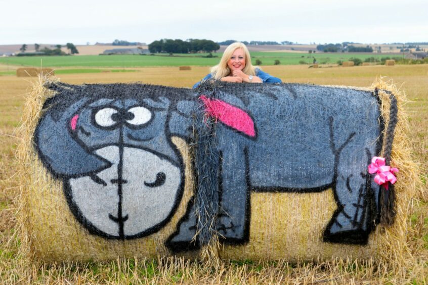 Winnie the Pooh bale art in Angus.