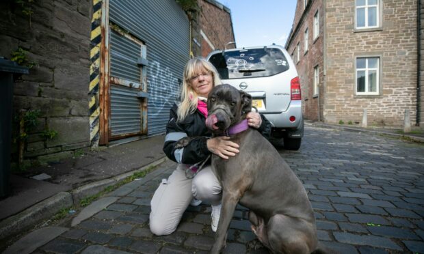 Lesley Connelly and her dog Smudge at the site of the proposed centre.