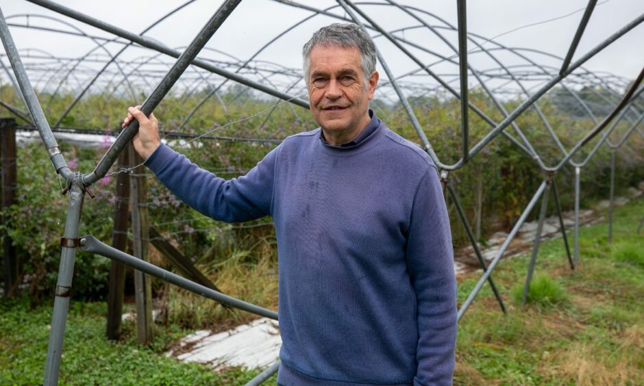 A man in a blue jumper standing in front of a blueberry field and polytunnels for fruit growing.