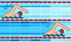 Illustration of swimmers in lanes swimming lengths