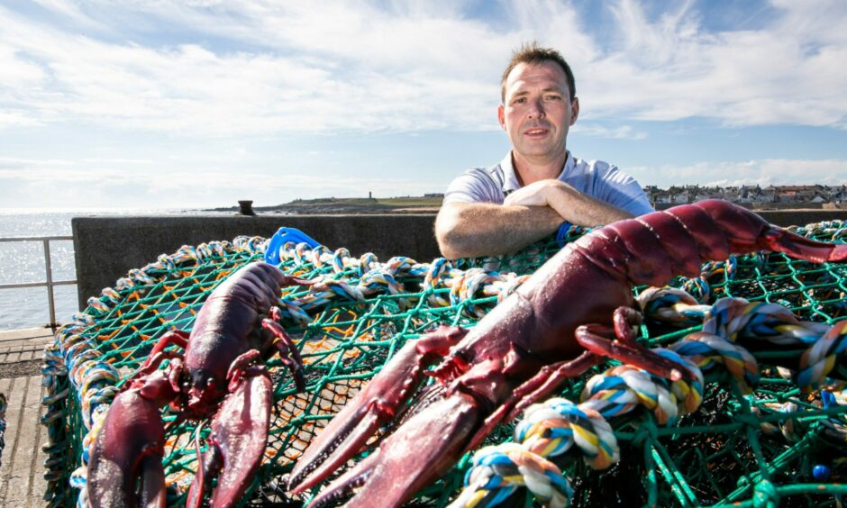 Shaun is fundraising to help get the Fife lobster hatchery off the ground.