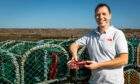 Shaun Suttie is launching the first Fife lobster hatchery