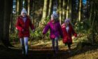 Children running in forest at Monikie Country Park.