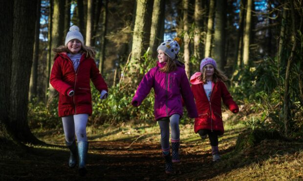 Children running in forest at Monikie Country Park.