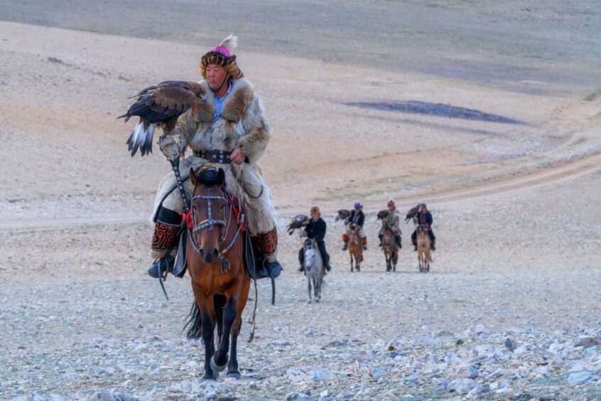 photo shows a Mongolian man wearing traditional gear and furs on horseback with an eagle on his arm.