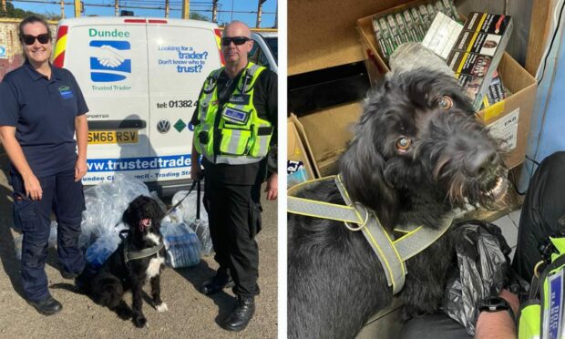 Boo sniffed out more than 5,000 fake cigarettes.