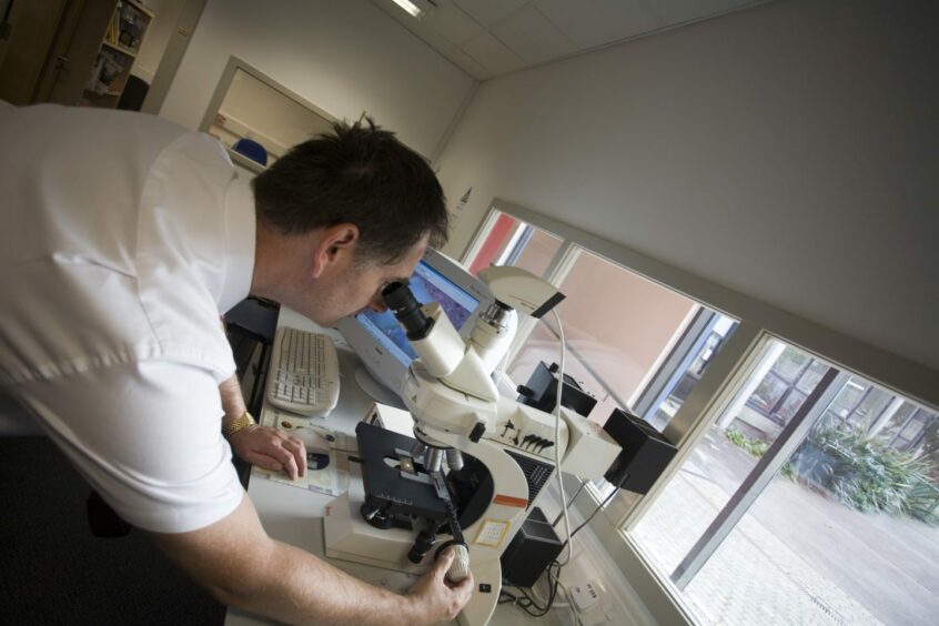 Researcher looks into a microscope at the University of Dundee