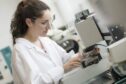 young researcher in a lab at the University of Dundee - Find out more about how you can apply to get university expertise to help your business.