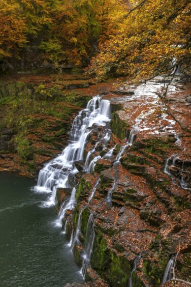 The Cora Linn waterfall.