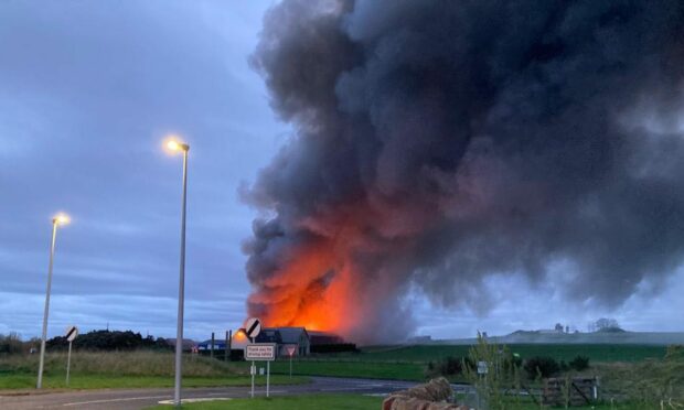 Huge plumes of smoke billowing over Myreside Farm, Inverkeilor. Image: James Simpson/DC Thomson.