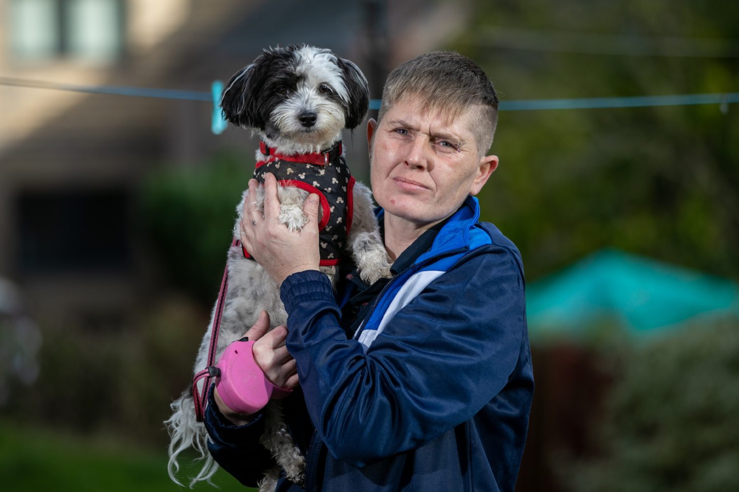Angus kennels killer dog mauled woman in Dundee street attack