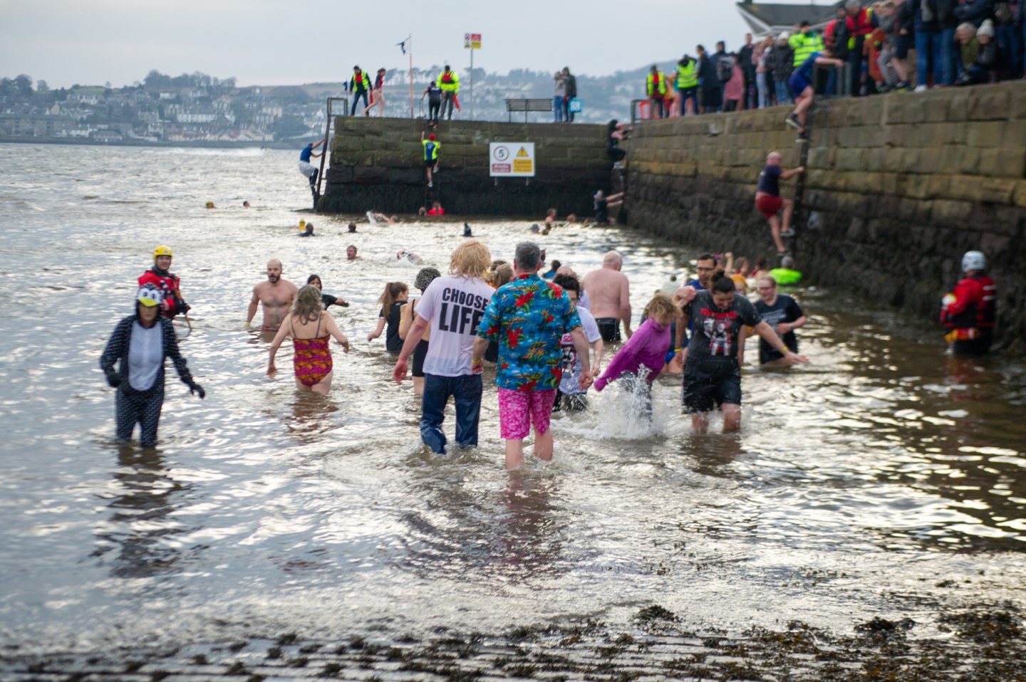 Broughty Ferry New Year's Dook sees big dip in numbers