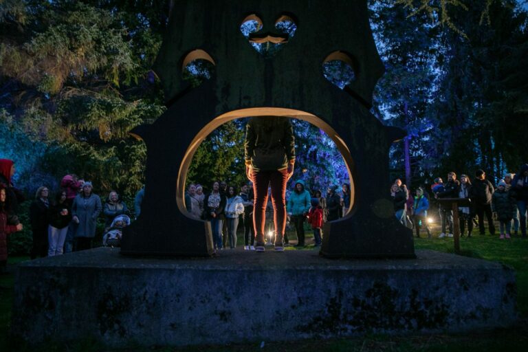 In pictures Dundee's Botanic Garden hosts music and light show