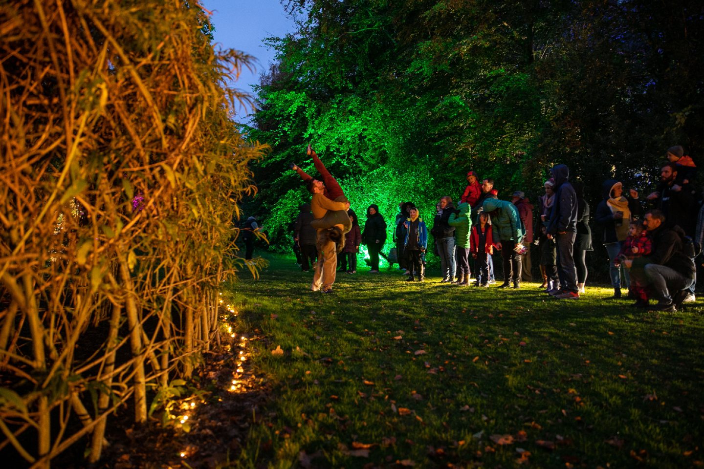 In pictures Dundee's Botanic Garden hosts music and light show