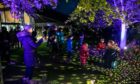 Visitors walk through the lit up tress at Dundee Botanic Garden. Kim Cessford / DC Thomson