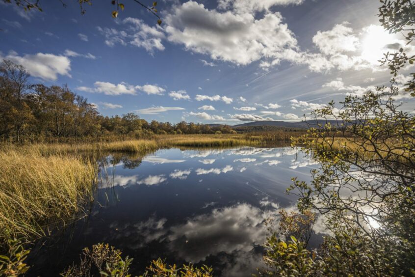 Landscape shot of Deeside.