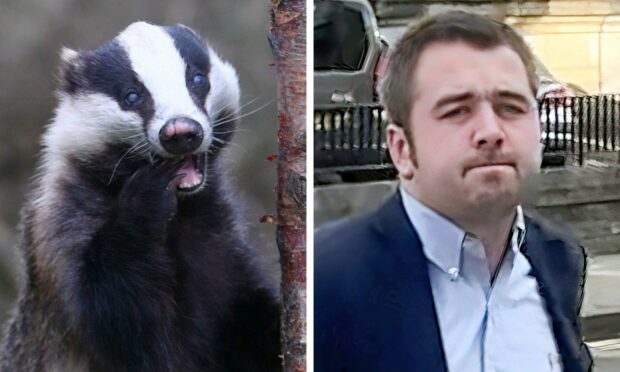 Peter Brown was found guilty of blocking the badger sett.