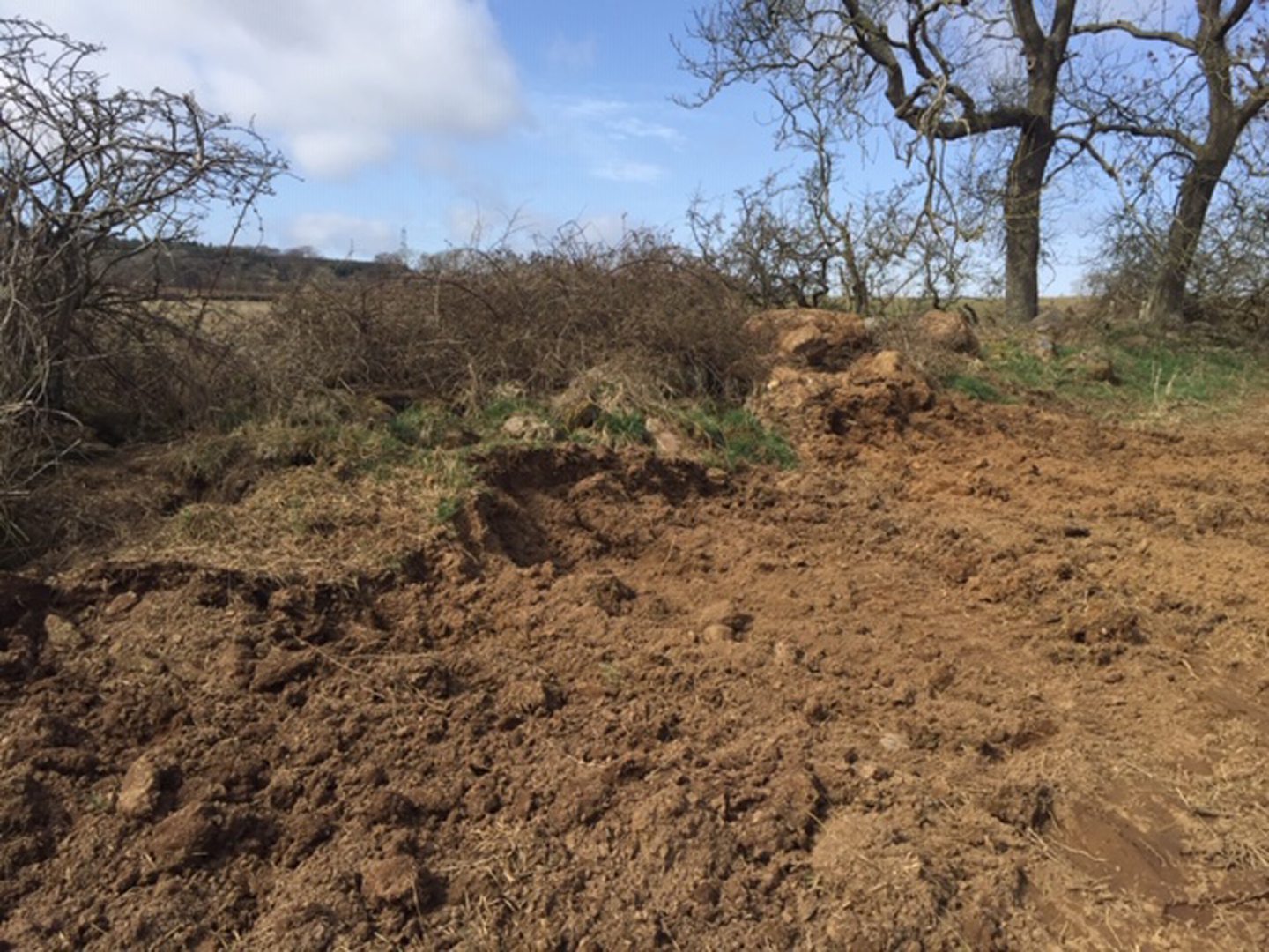 Badgers 'would have suffocated' after sett blocked on Fife farmland