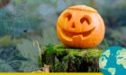 Here's how you can have a spooky and sustainable Halloween.