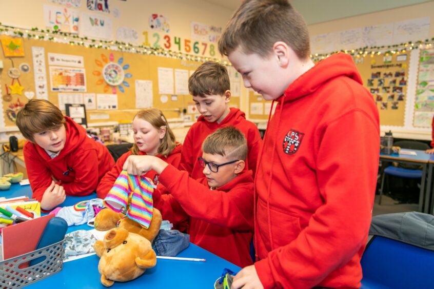 The P7 pupils taking part in the bear-dressing activity at Leslie Primary School. Image: Steve Brown / DC Thomson.