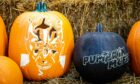 Pumpkin carving tips from expert crafter Pumpkin McFife.