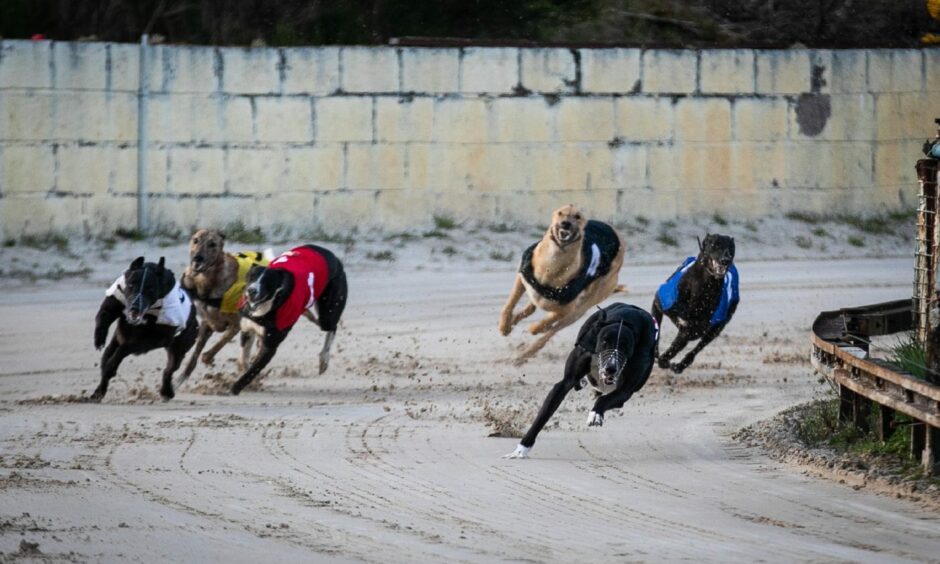 Fife greyhound racing track should be shut down 'immediately', says MSP