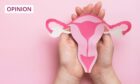 image shows a pair of hands holding a cut-out diagram of a women's reproductive system.