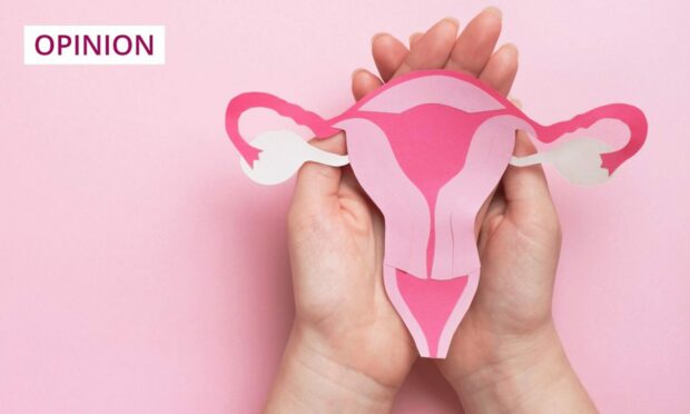 image shows a pair of hands holding a cut-out diagram of a women's reproductive system.