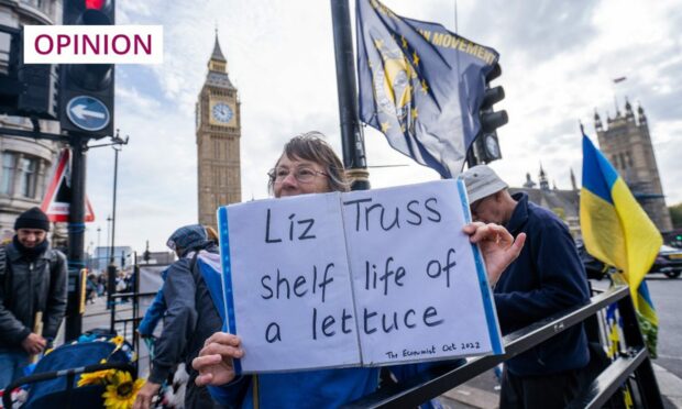Photo shows a protester in Parliament Square holding a placard which says 'Liz Truss - shelf life of a lettuce'.