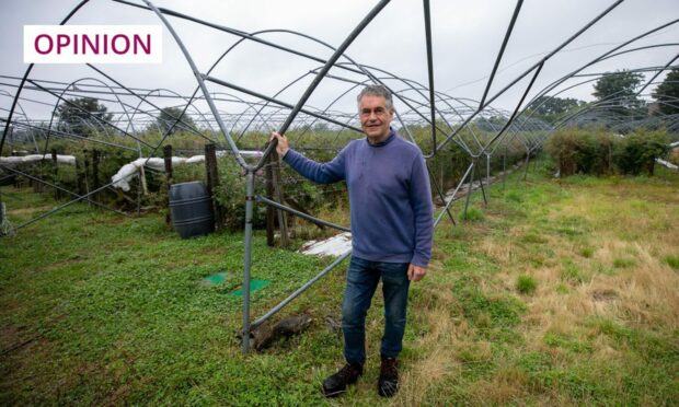 Photo shows Peter Thomson standing in front of a polytunnel.