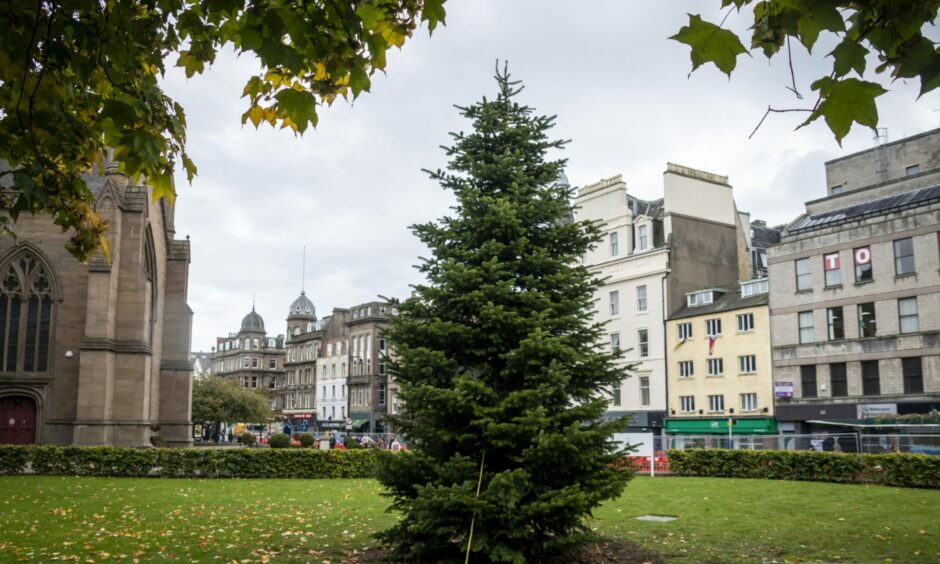 The living Christmas tree is on the Nethergate.