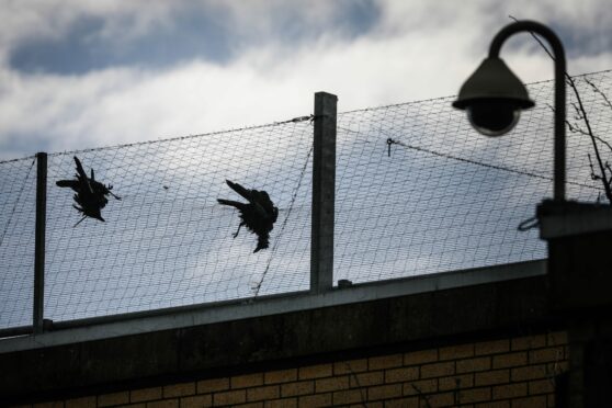 Birds trapped in Asda's Dundee Milton.