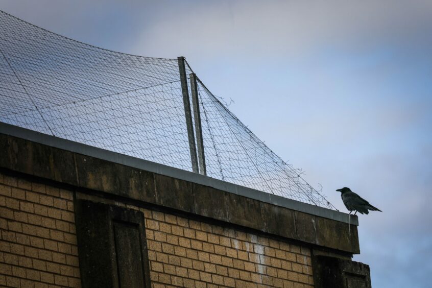 Nets on roof of Asda in Dundee Milton.