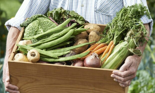 Our Ginger Gairdner began growing vegetables in earnest when he bought his first house.