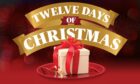 The 12 Days of Christmas Giveaway takes place from December 1 to December 12, 2022.